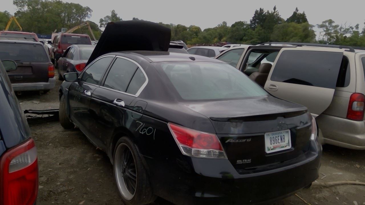2009 HONDA Accord