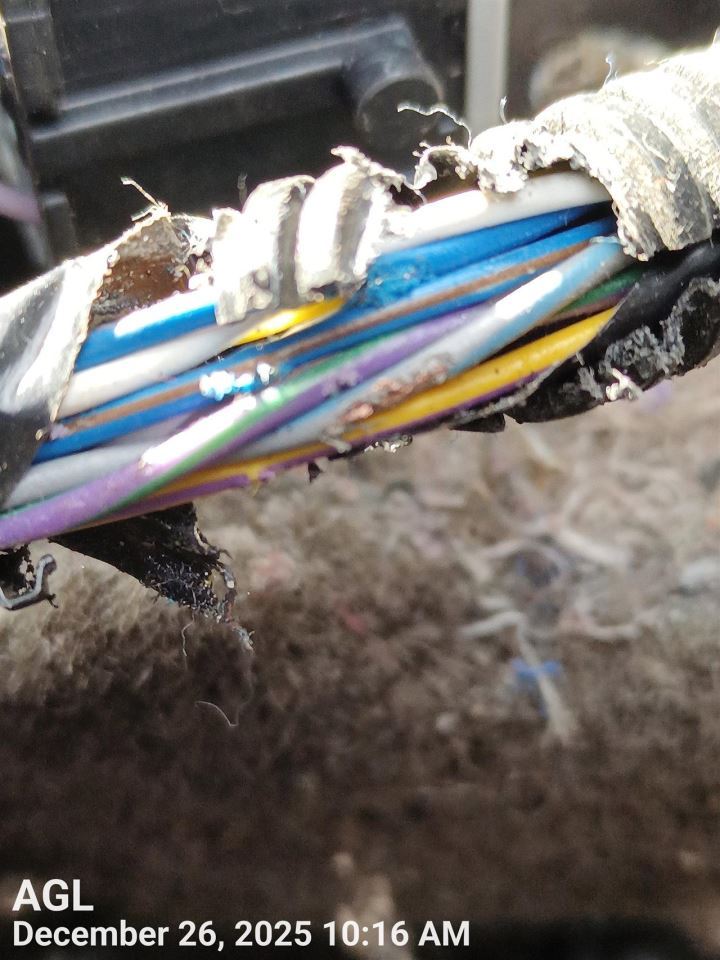 DASH WIRE HARNESS OEM 2013 FORD F150 DL3Z14401KHB - Image 4