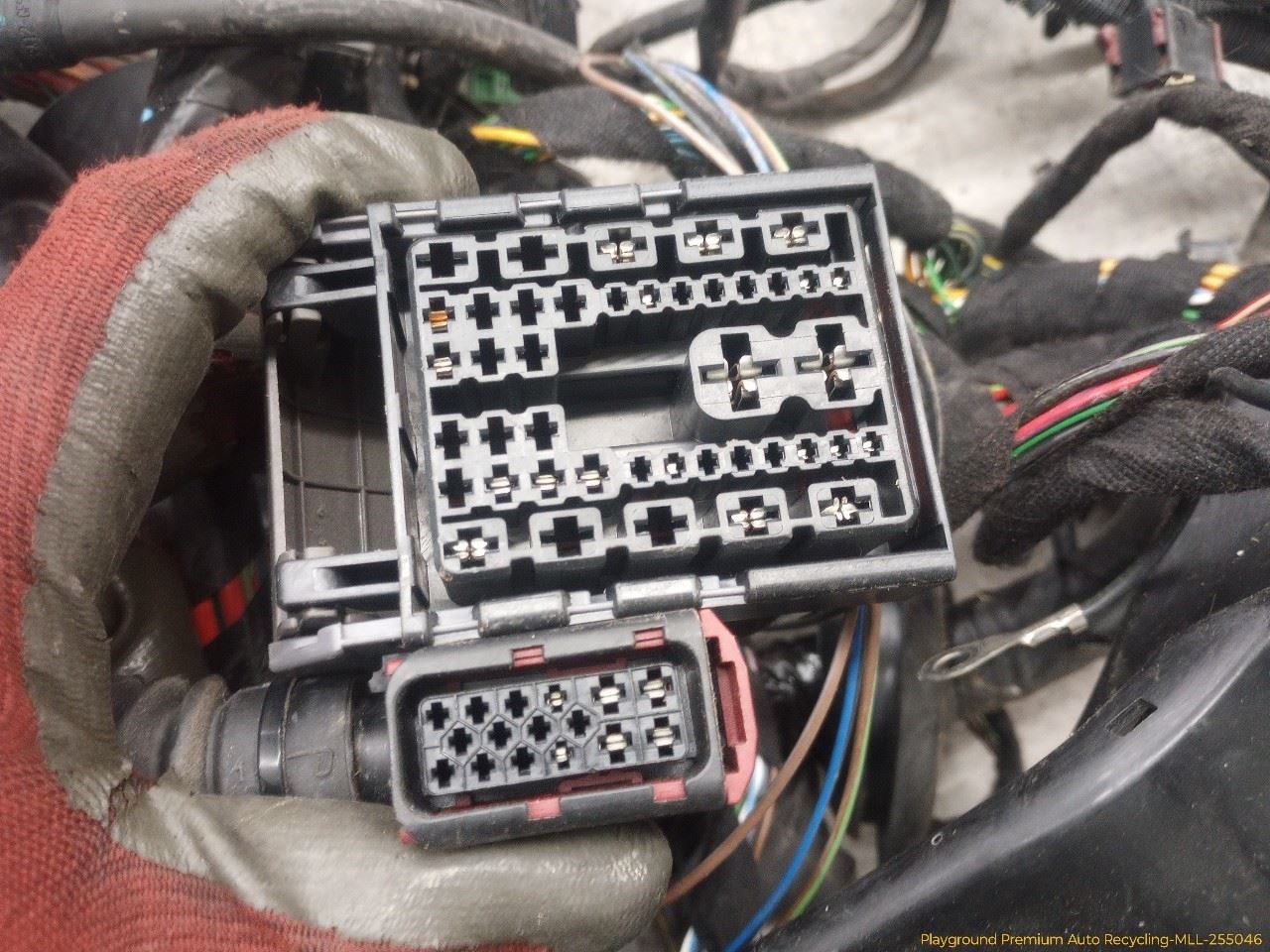 Photo 4