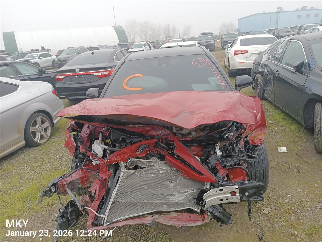 LEFT REAR LOWER CONTROL ARM OEM 18-25 TOYOTA CAMRY - Image 3