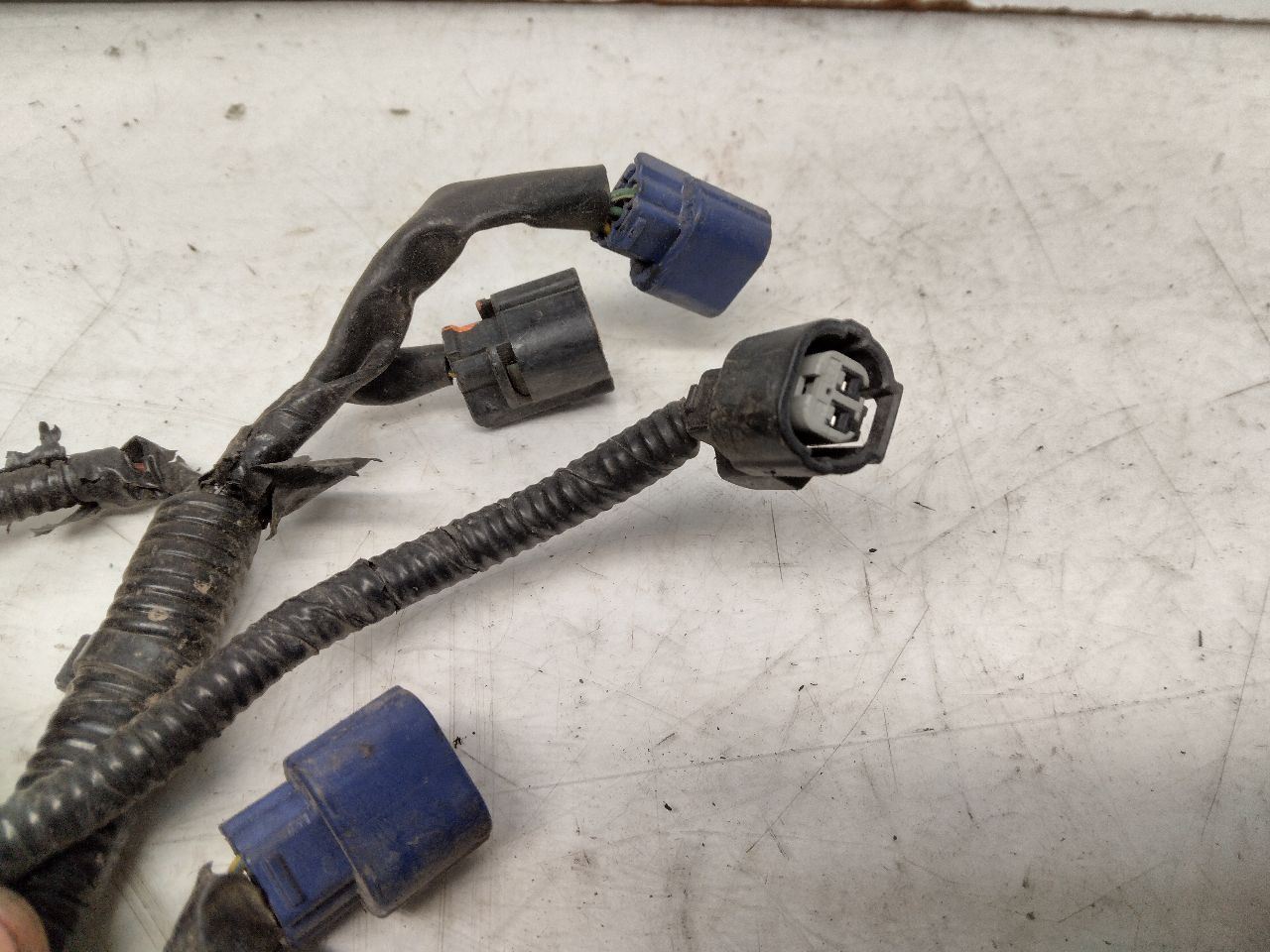 2002-2004 ACURA RSX Engine Wire Harness OEM 32110-PRB-A00 348251