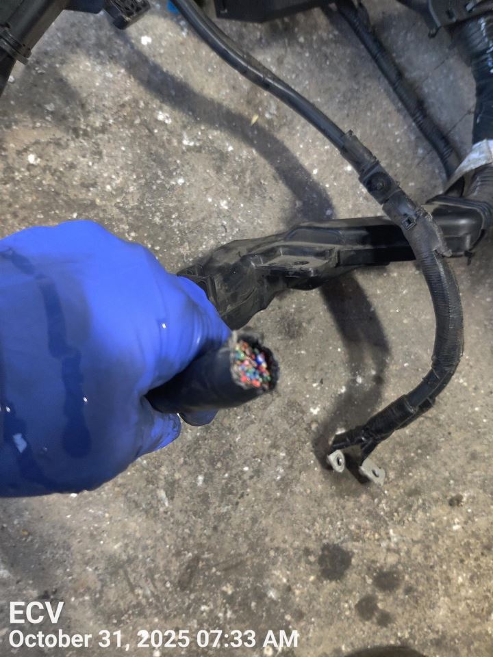 ELANTRA 2023 Engine Wire Harness 7354346 - Image 2