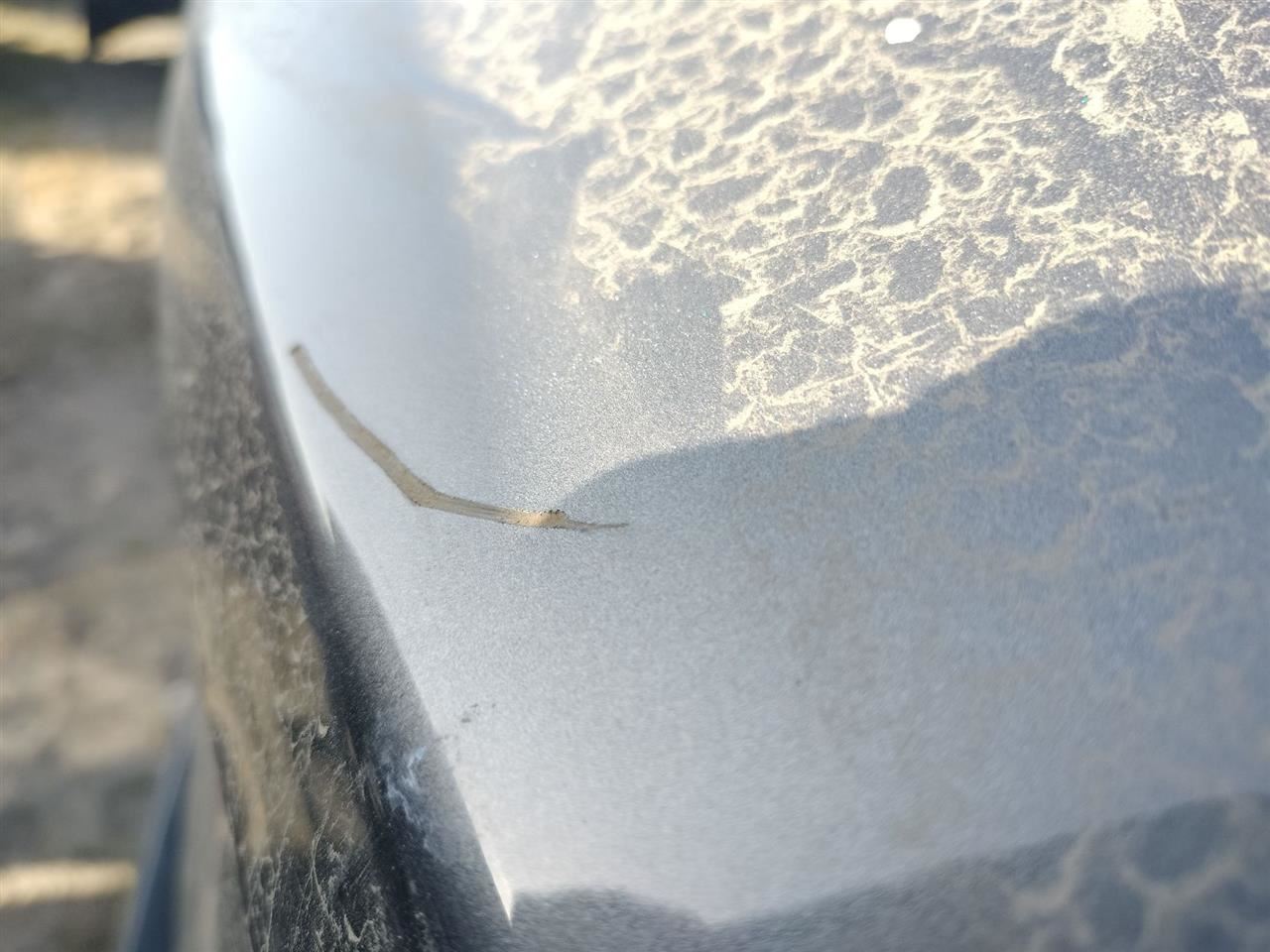 GRY DECKLID TAILGATE OEM 17-20 JAGUAR F-PACE - Image 5