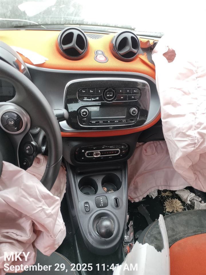 DASH WIRE HARNESS 2017 SMART SMARTFOR2 - Image 2