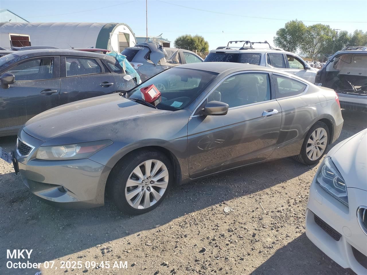 Benzeen HOOD OEM 08-12 HONDA ACCORD - Image 1