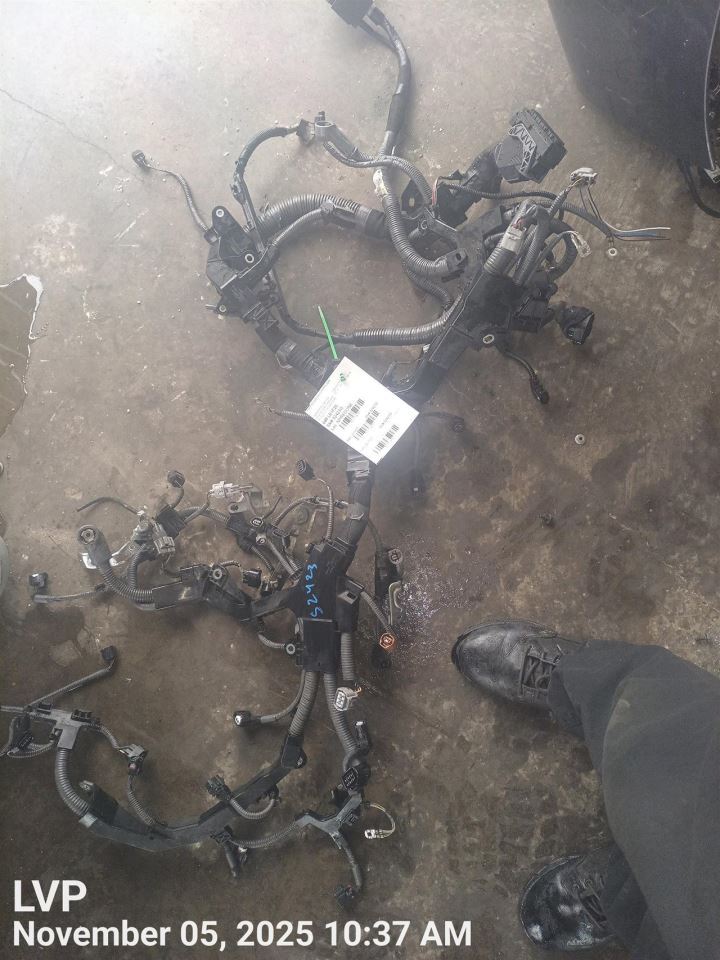 Benzeen 2020 Engine Wire Harness 7704751 - Image 1