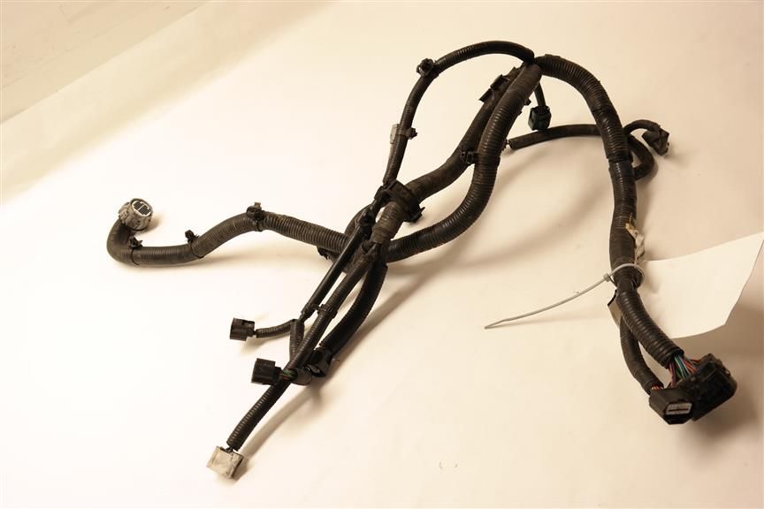 Engine Wire Harness 24011