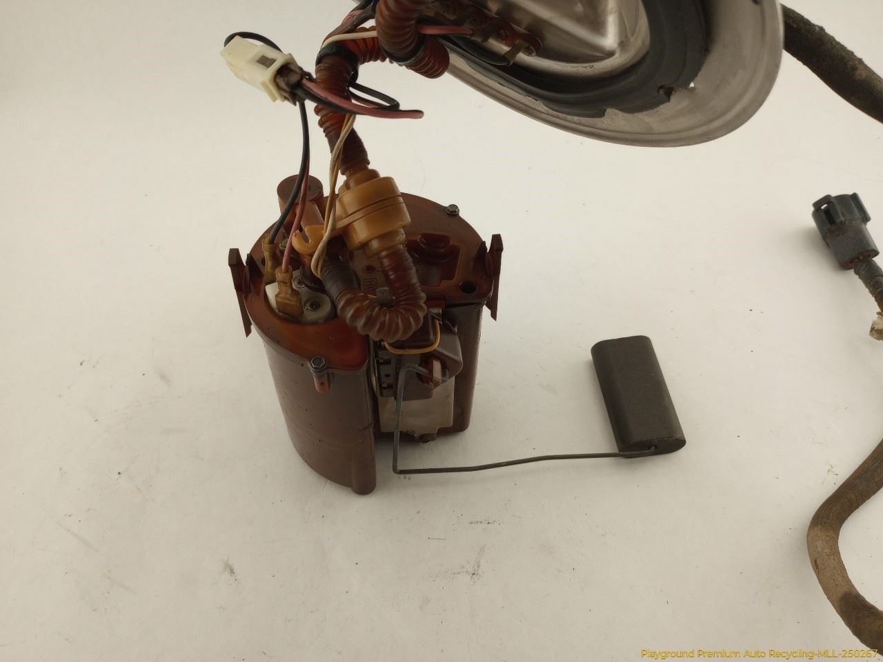 Photo 3