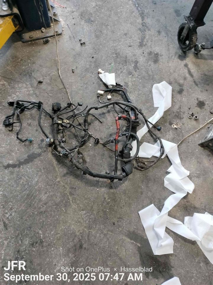 Benzeen WIRE HARNESS 1998 TOYOTA TACOMA - Image 1