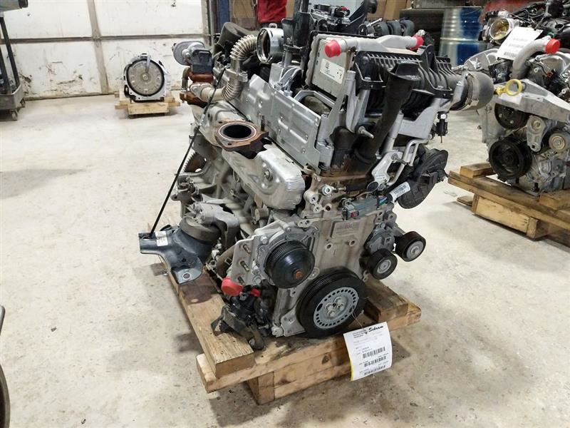 20時迄【chiiino】Og3 Ea Lm St 15ml 6点 CP 20時迄【chiiino】Og3 Ea Lm St 15ml 6点 CP 最大12%OFF】8