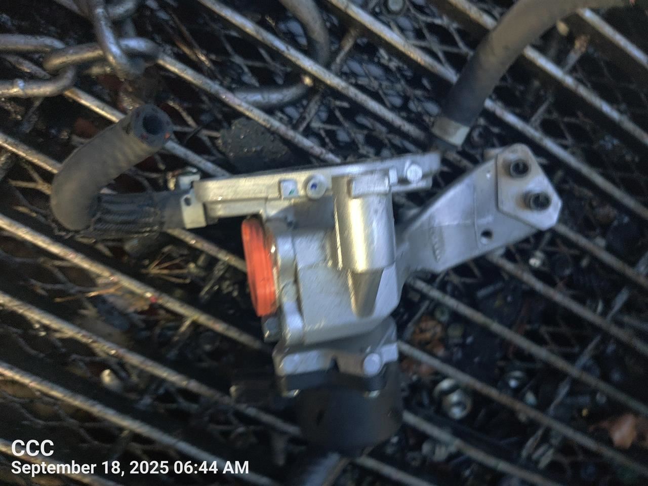 Benzeen 2021 TOYOTA SIENNA - Image 1