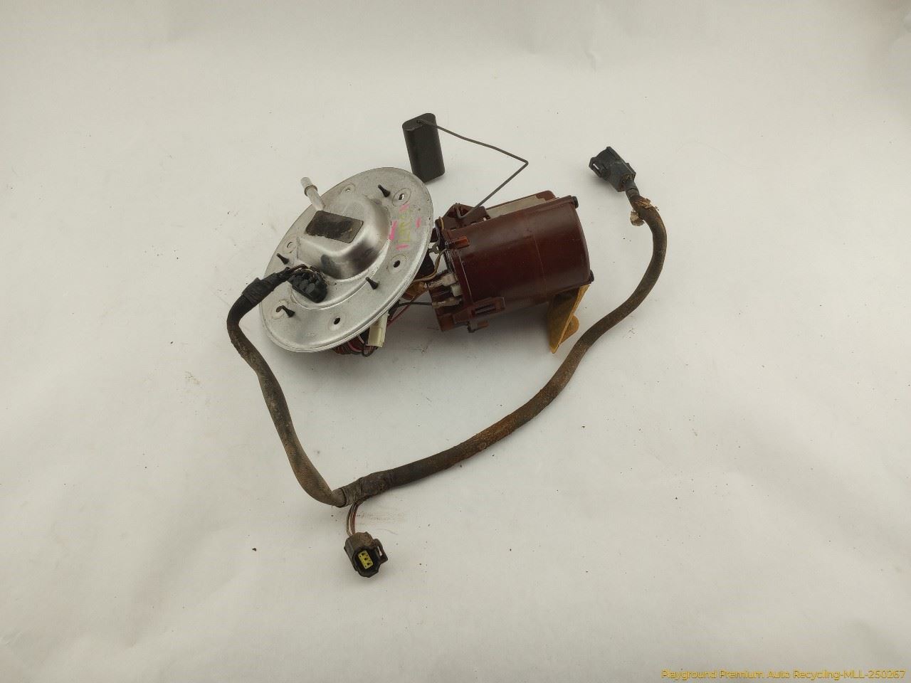 Photo 2