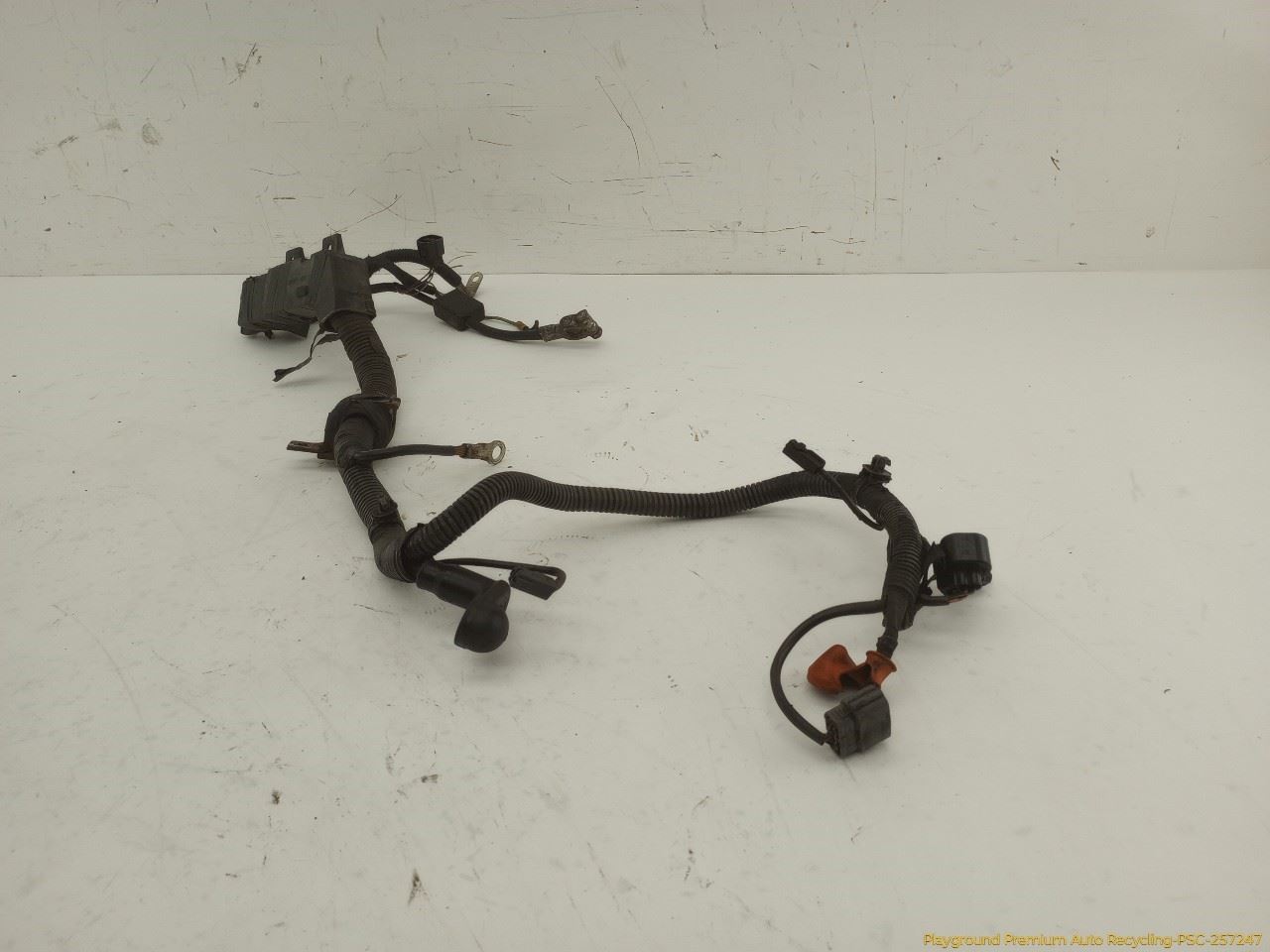 Photo 12