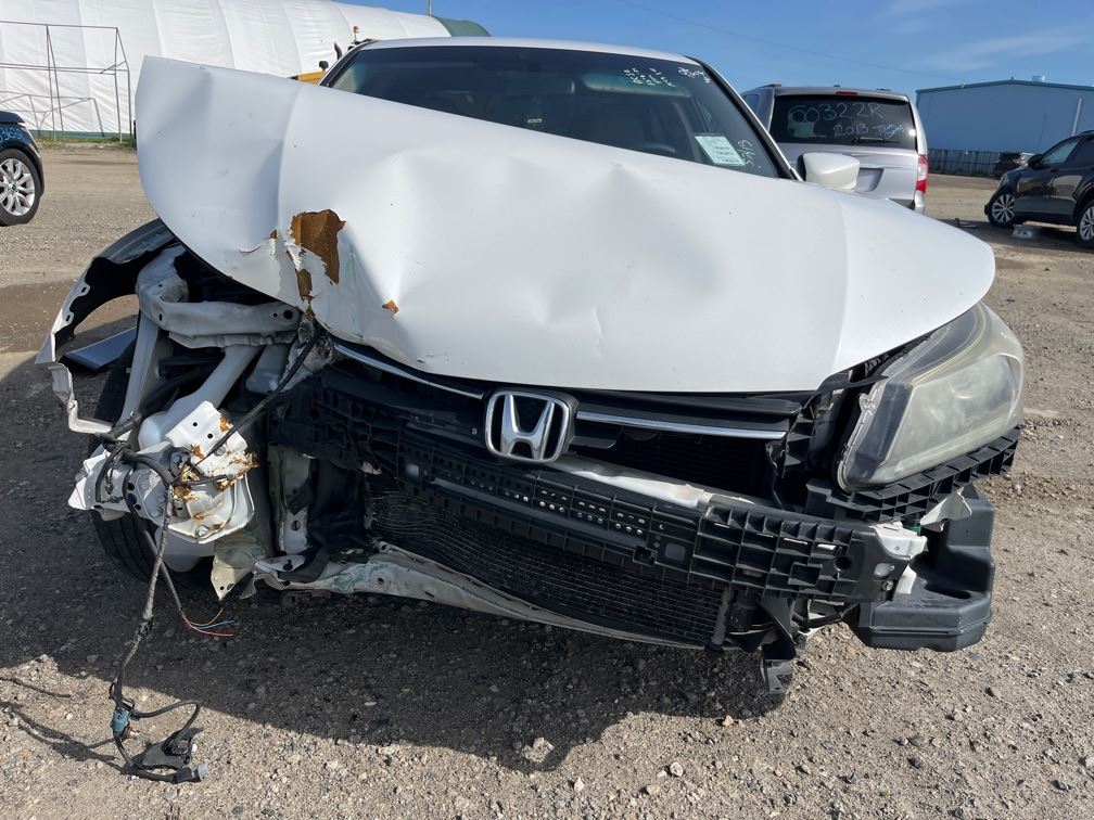 LEFT TAN FRONT HEADREST OEM 2014 HONDA ACCORD - Image 3