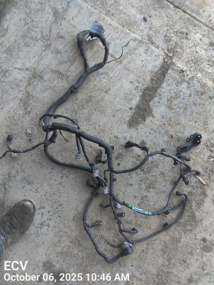 OUTLAN SP 2013 Engine Wire Harness 6195127 - Image 2