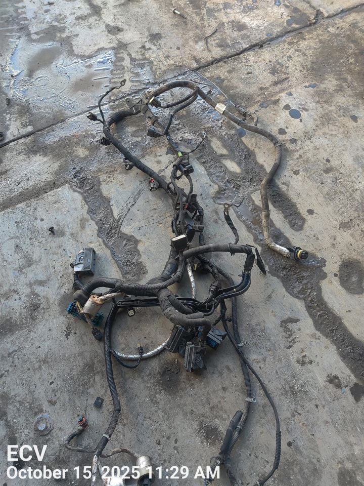 SIERRA150 2014 Engine Wire Harness 7422749 - Image 2