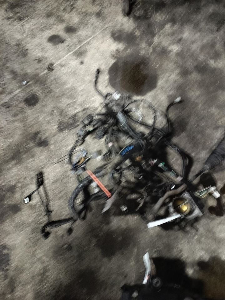 Benzeen WIRE HARNESS 240119NF2B 2016 NISSAN PATHFINDR - Image 1