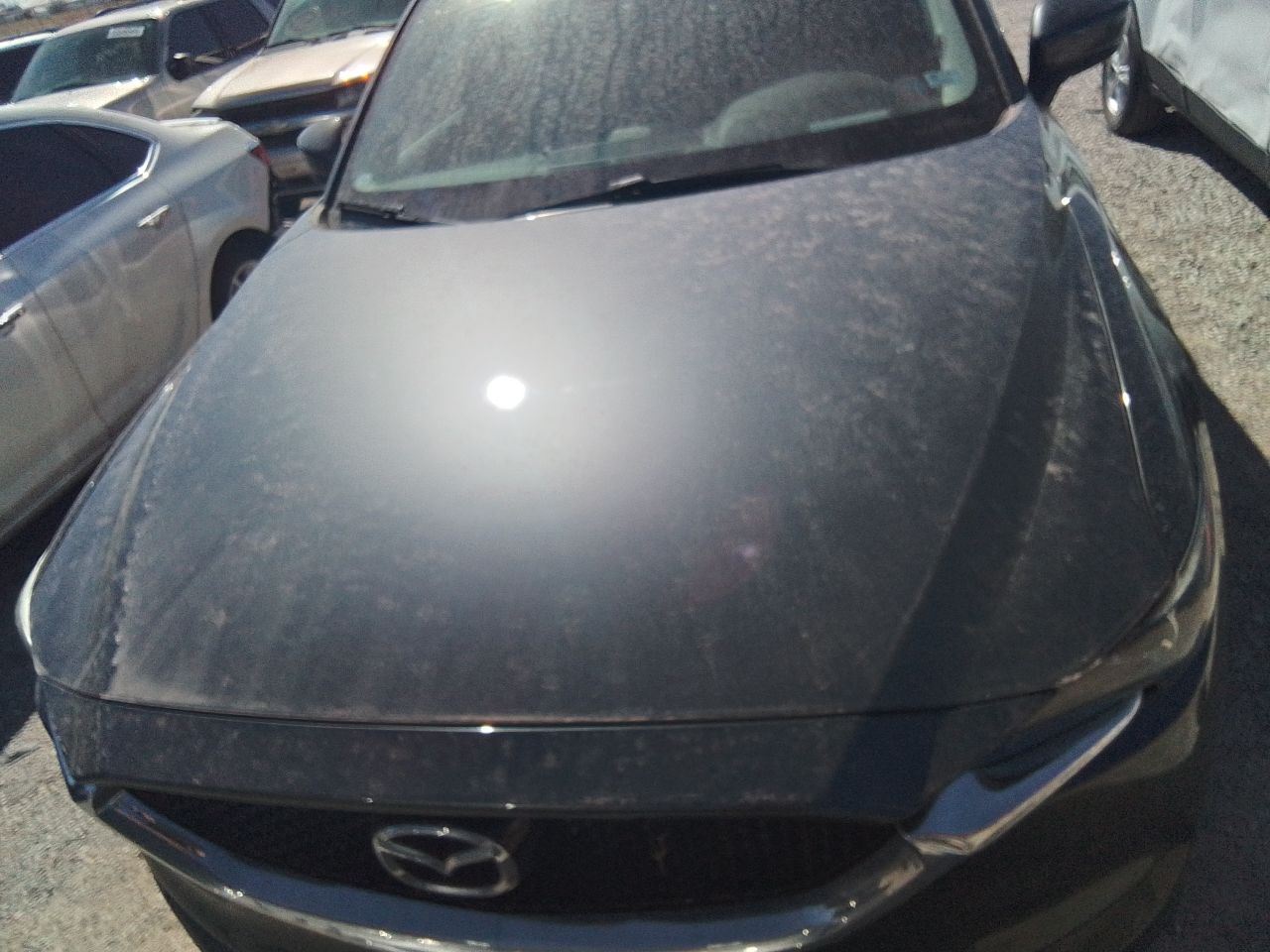 Driver Left Rear Side Door Privacy Tint Fits 17-23 MAZDA CX-5