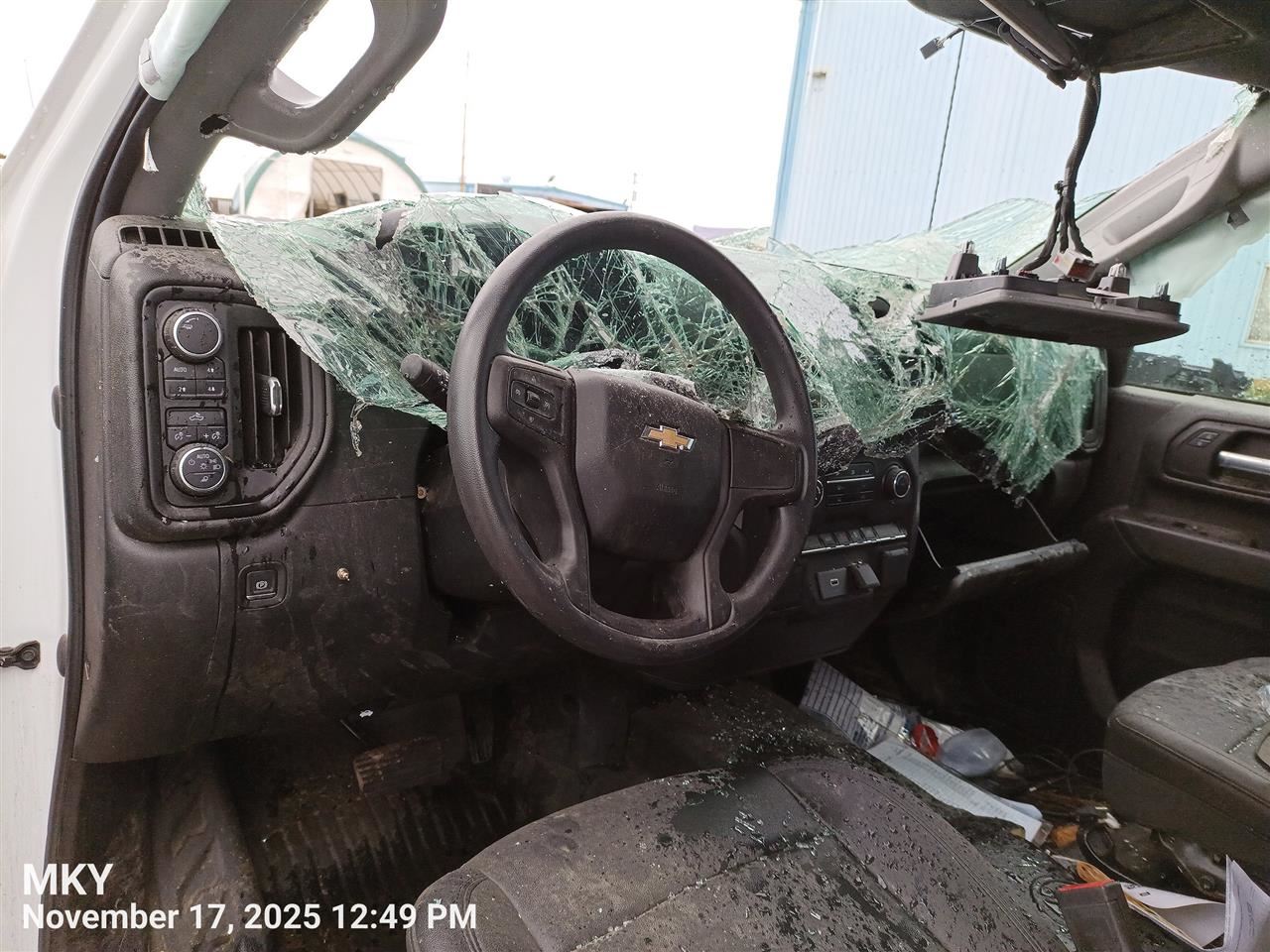 SILVRDO25 2025 Door Trim Panel Rear 8003863 - Image 2