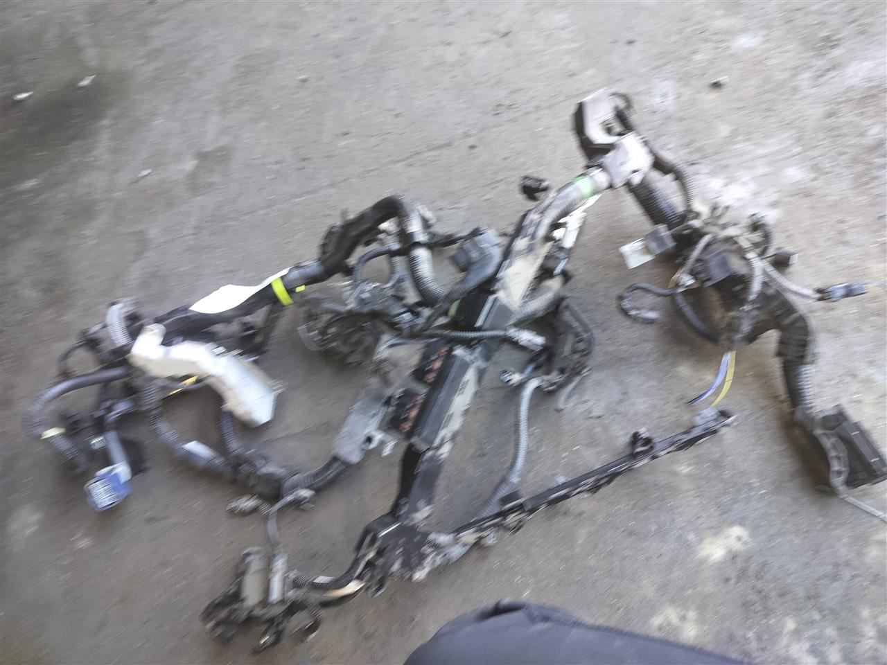 TLX 2021 Engine Wire Harness 7516041 - Image 2
