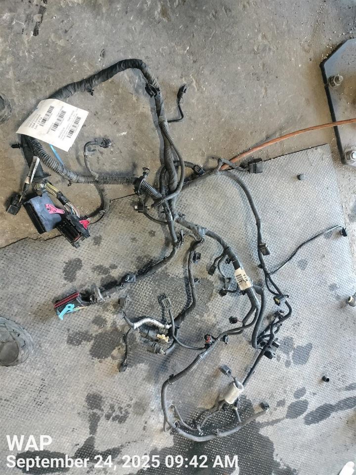 ENGINE WIRE HARNESS CU5Z12A581MA 2014 FORD FOCUS - Image 2