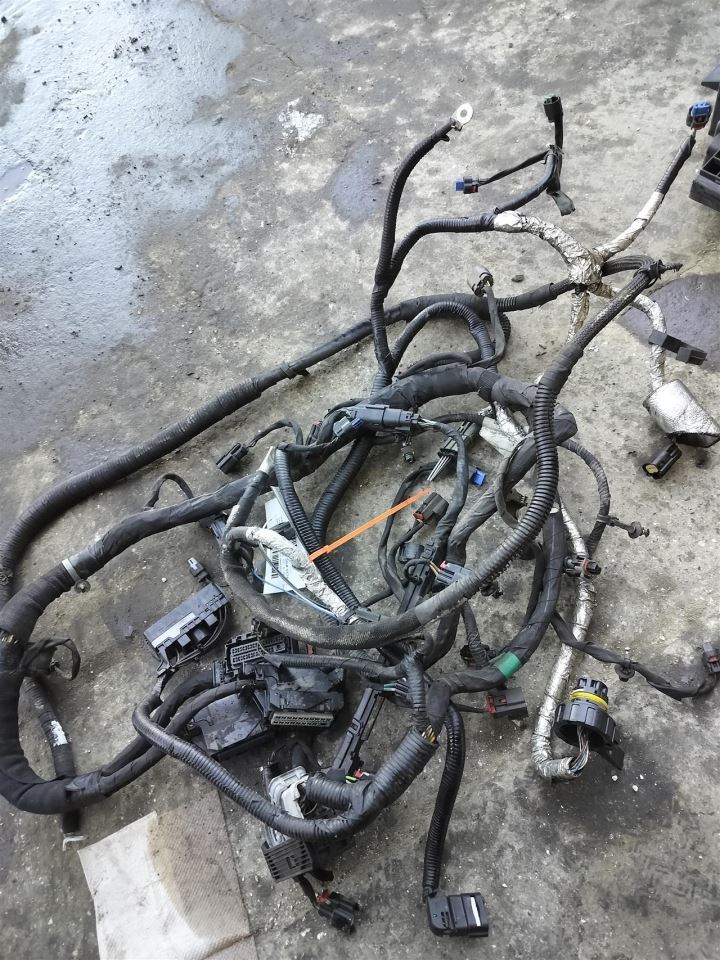 CANYON 2019 Engine Wire Harness 6550090 - Image 2