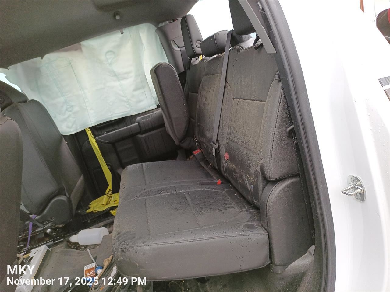 SILVRDO25 2025 Door Trim Panel Rear 8003863 - Image 4