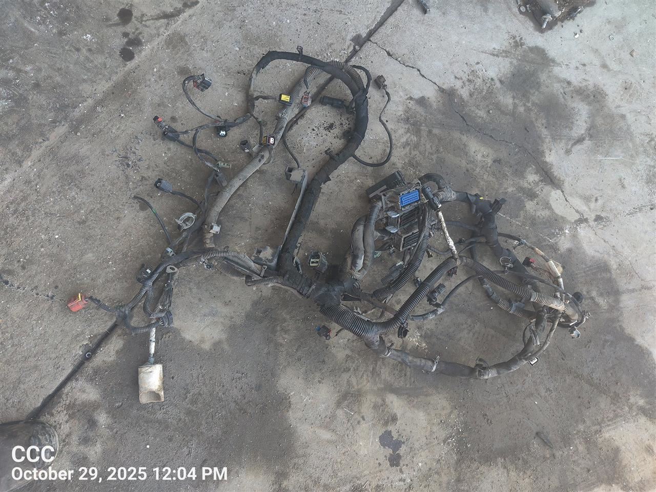 ENGINE WIRE HARNESS 84313931 2017 CHEVROLET COLORADO - Image 4