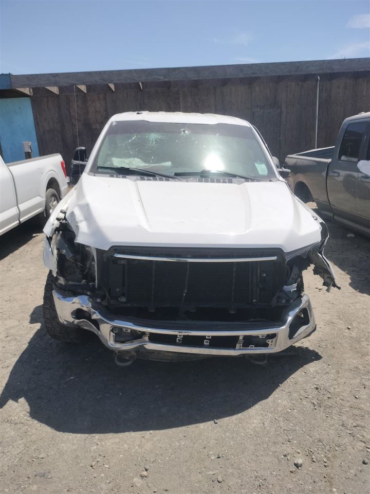 GRY REAR HEADREST OEM 2018 FORD F150 - Image 2