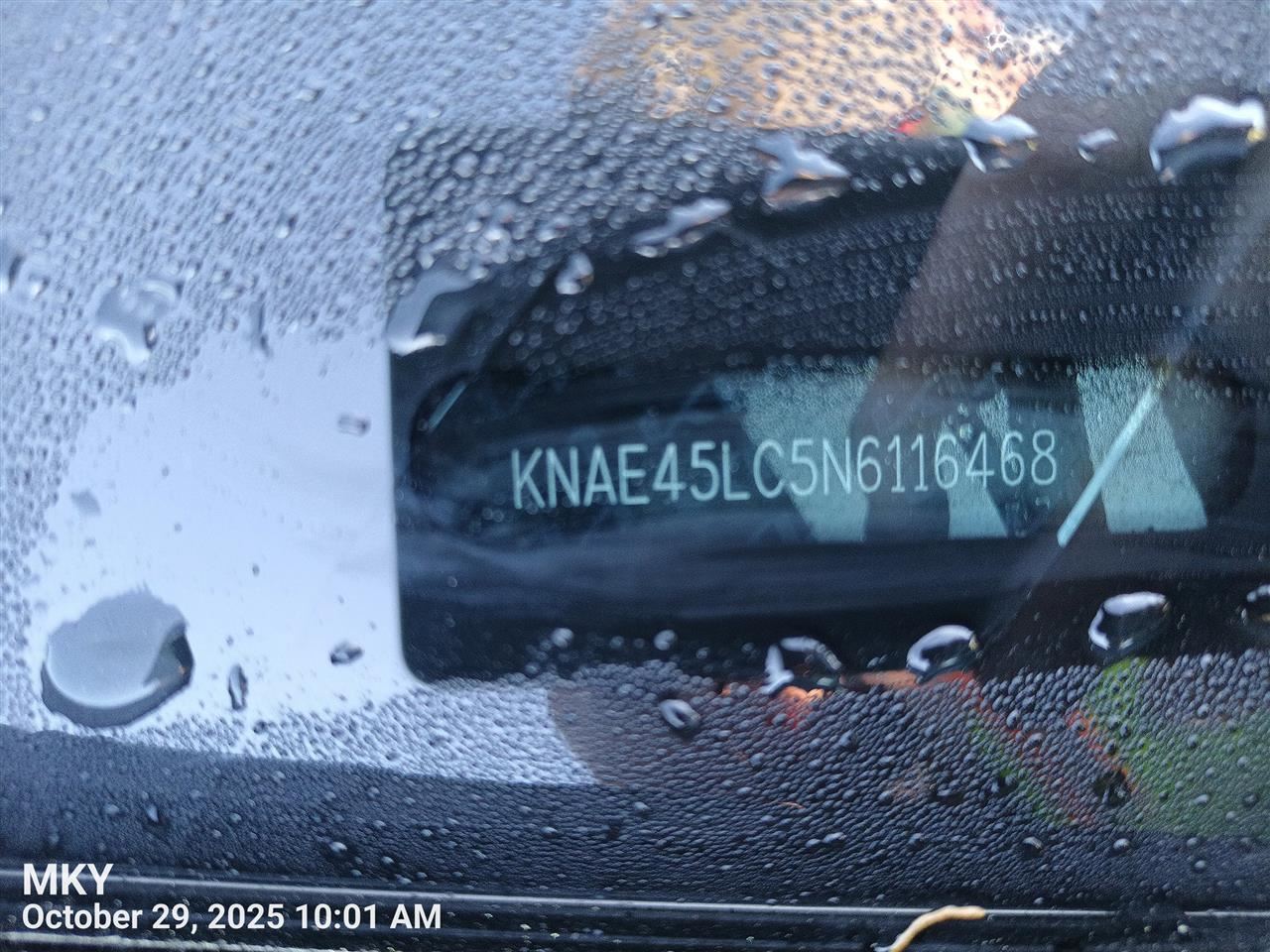 STINGER 2022 Engine Wire Harness 7744029 - Image 2