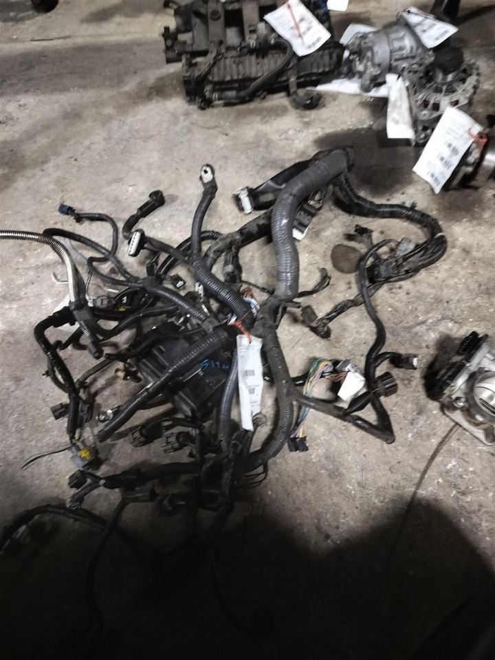 Benzeen SPT 2019 Engine Wire Harness 6781788 - Image 1