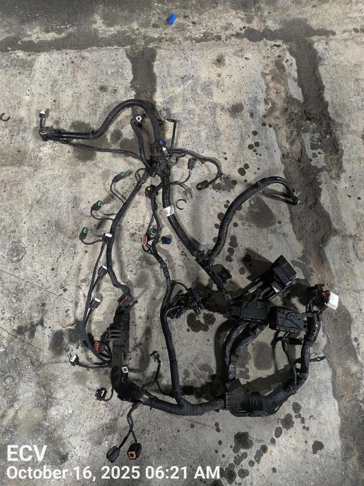 ENGINE WIRE HARNESS 91435F2090 2019 HYUNDAI ELANTRA - Image 2