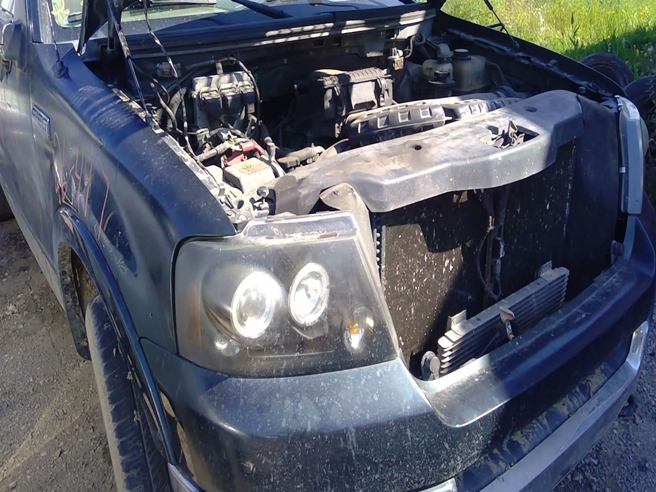 2004 FORD F-150