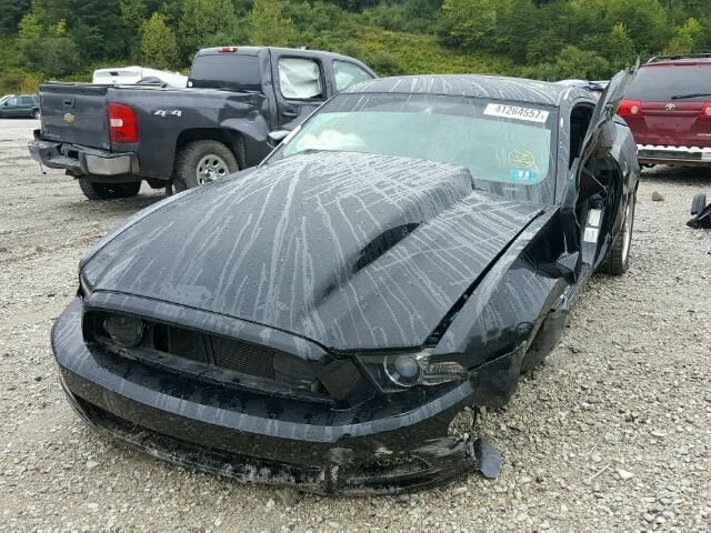 Stabilizer   Bar Rear GT Coupe Fits 12-14 MUSTANG 434007