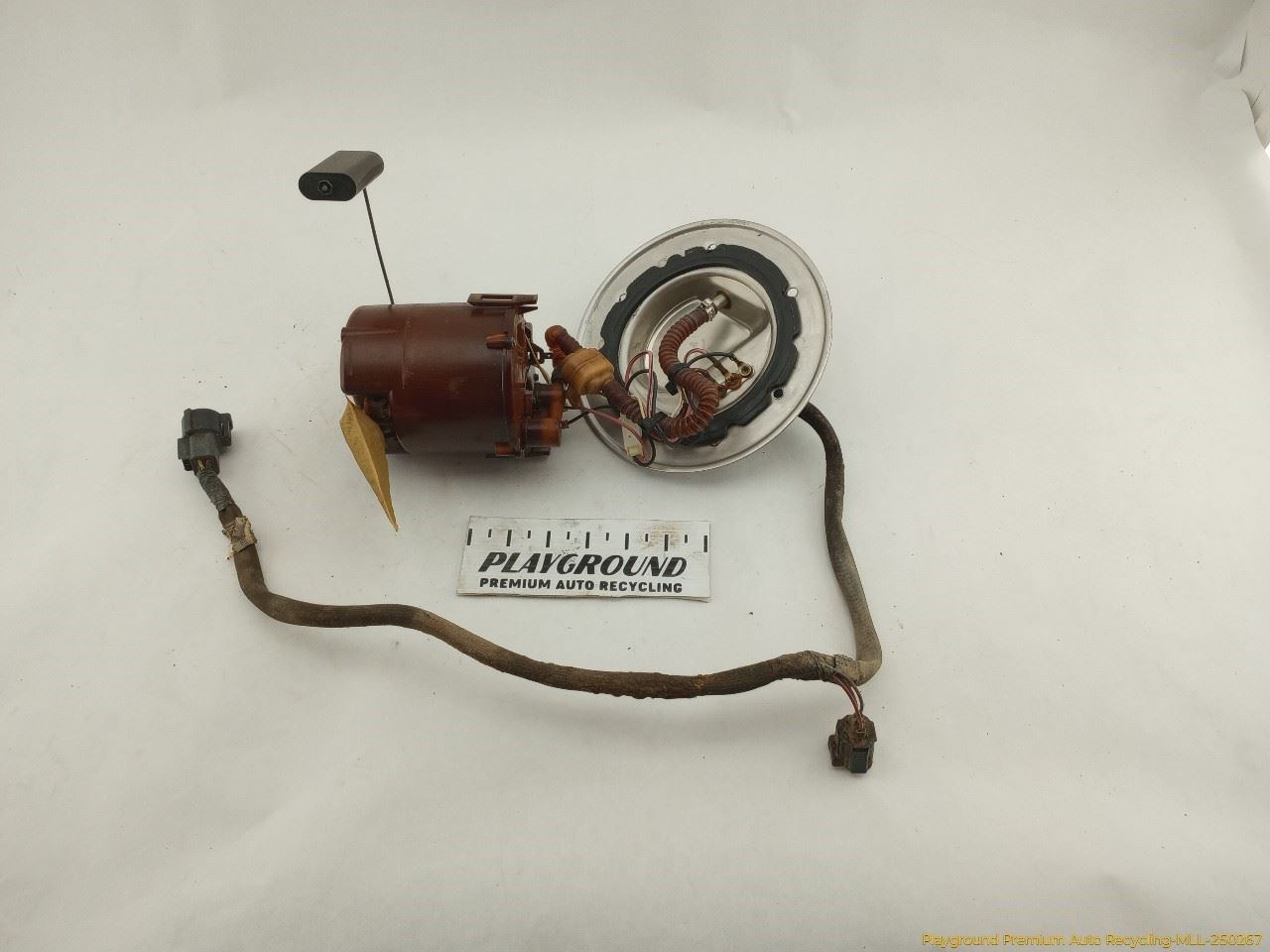 Photo 1