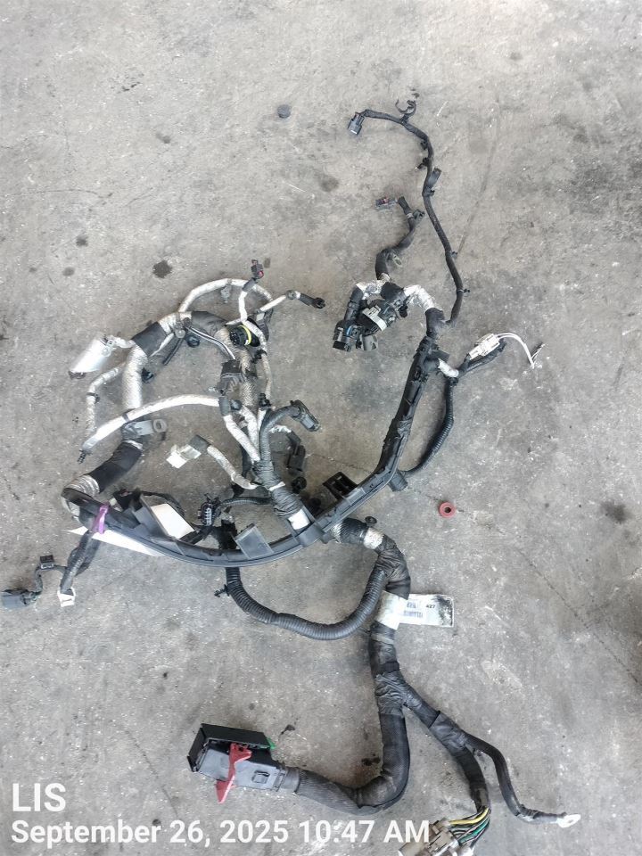 Benzeen 2017 Engine Wire Harness 7091823 - Image 1