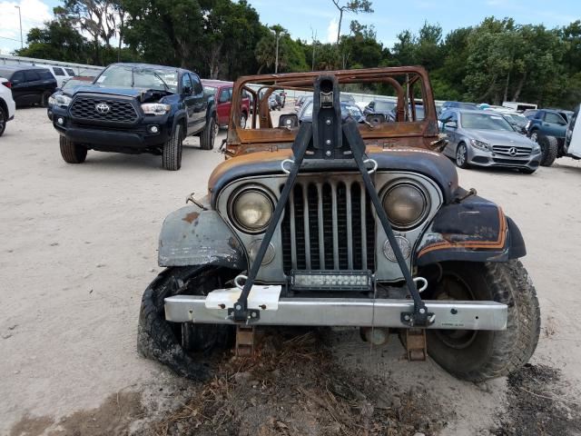 Used 1977 Jeep Cj7 Rear Body Decklid Tailgate Cj7 Lower Parts
