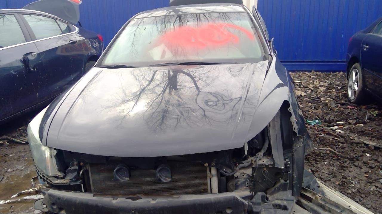 2010 HONDA Accord