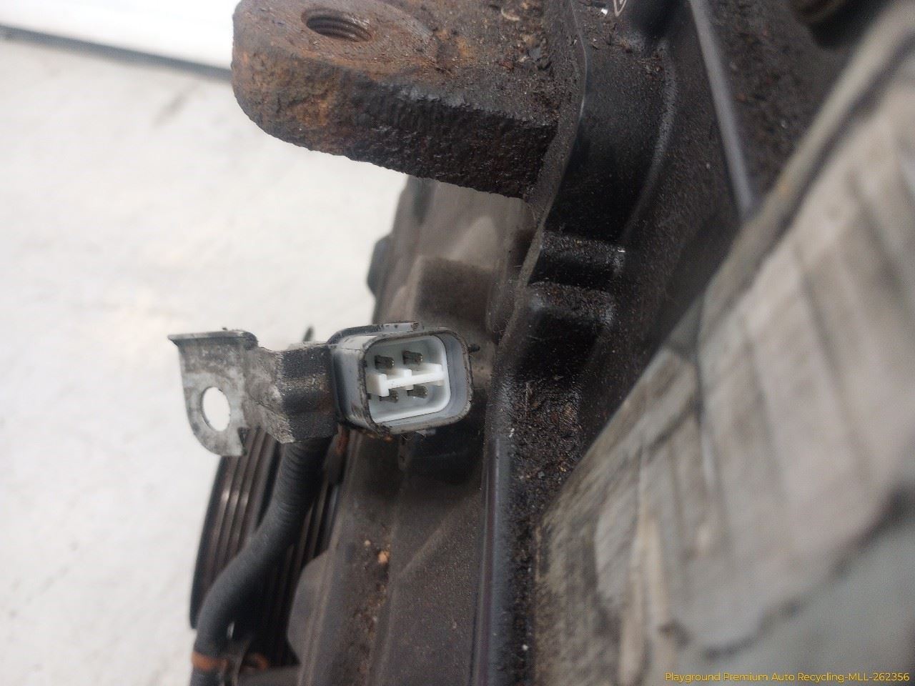 Photo 6
