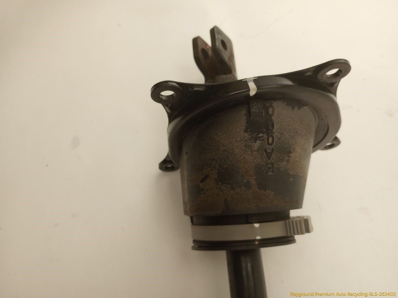 Photo 12