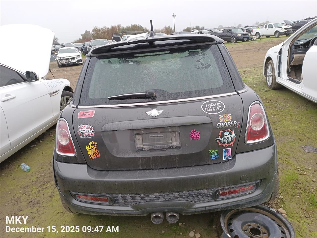 Benzeen DECKLID TAILGATE OEM 07-13 MINI MINICOOPE - Image 1