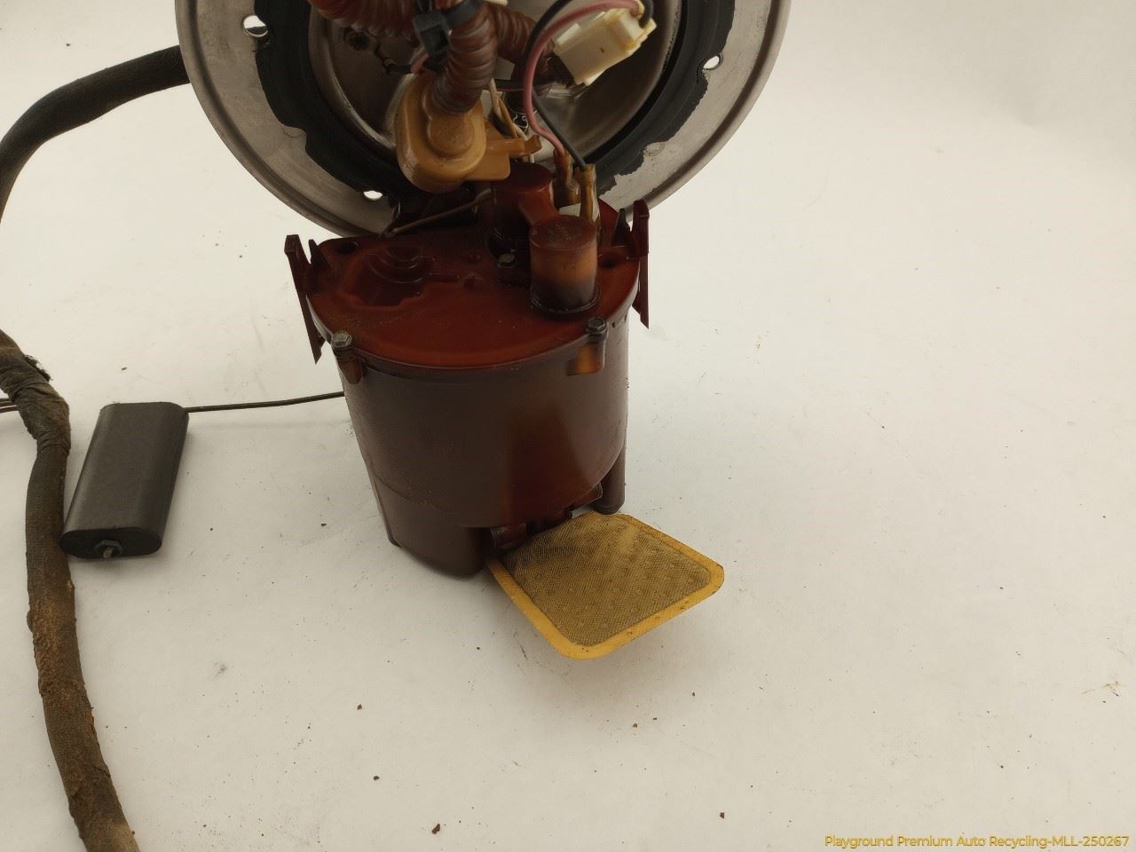 Photo 5