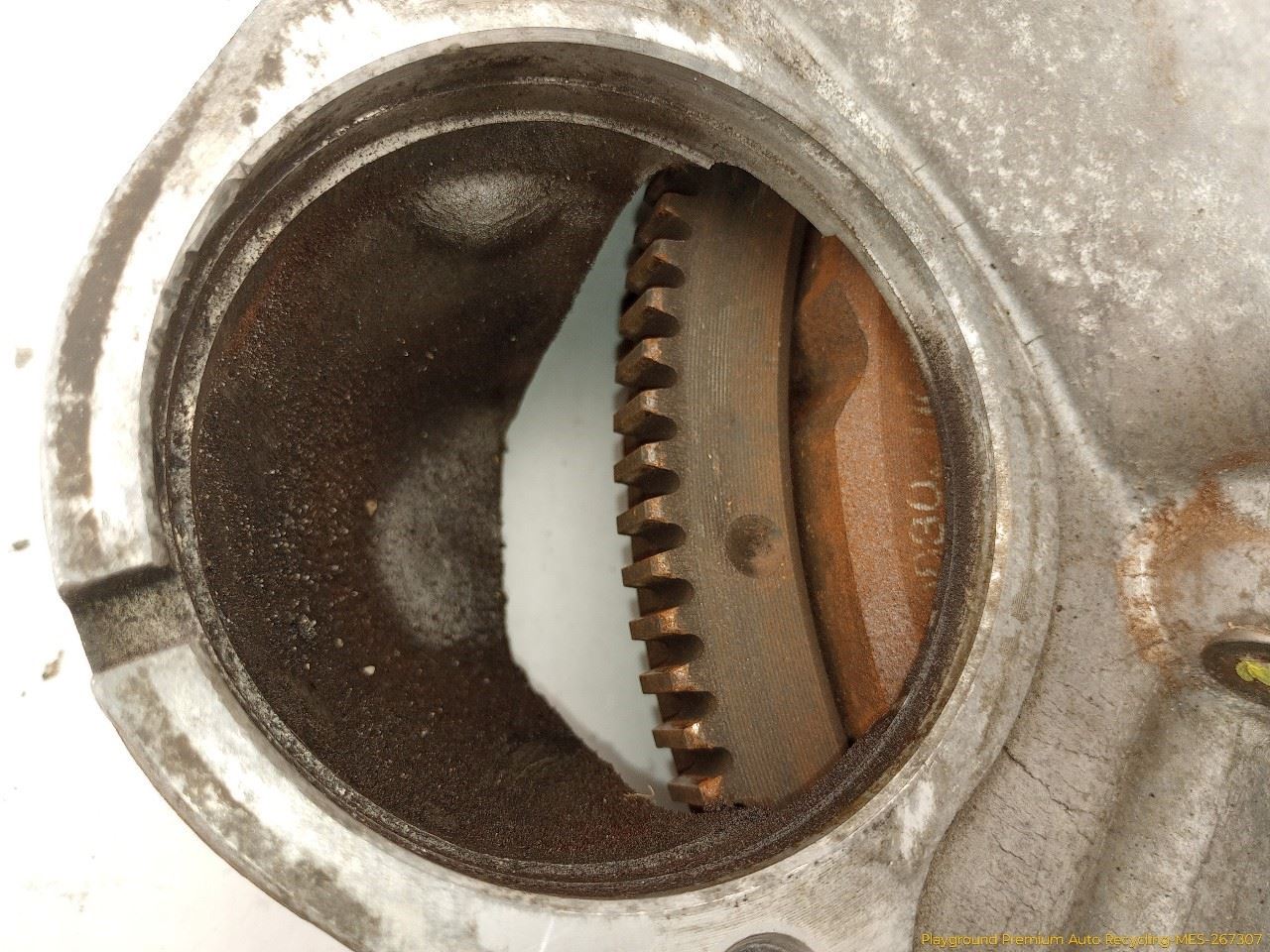 Photo 8