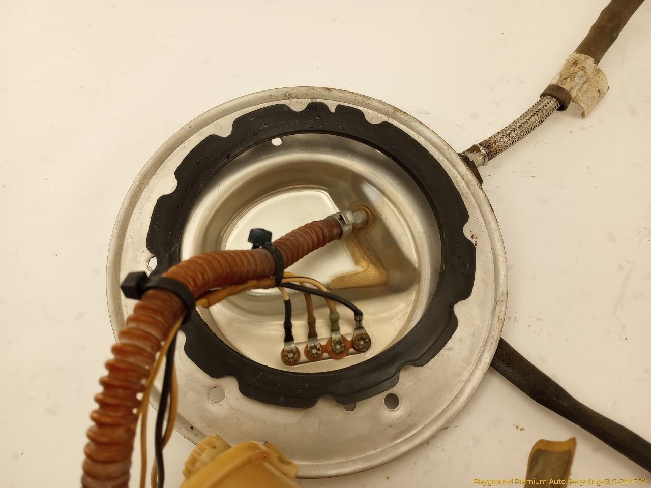 Photo 5