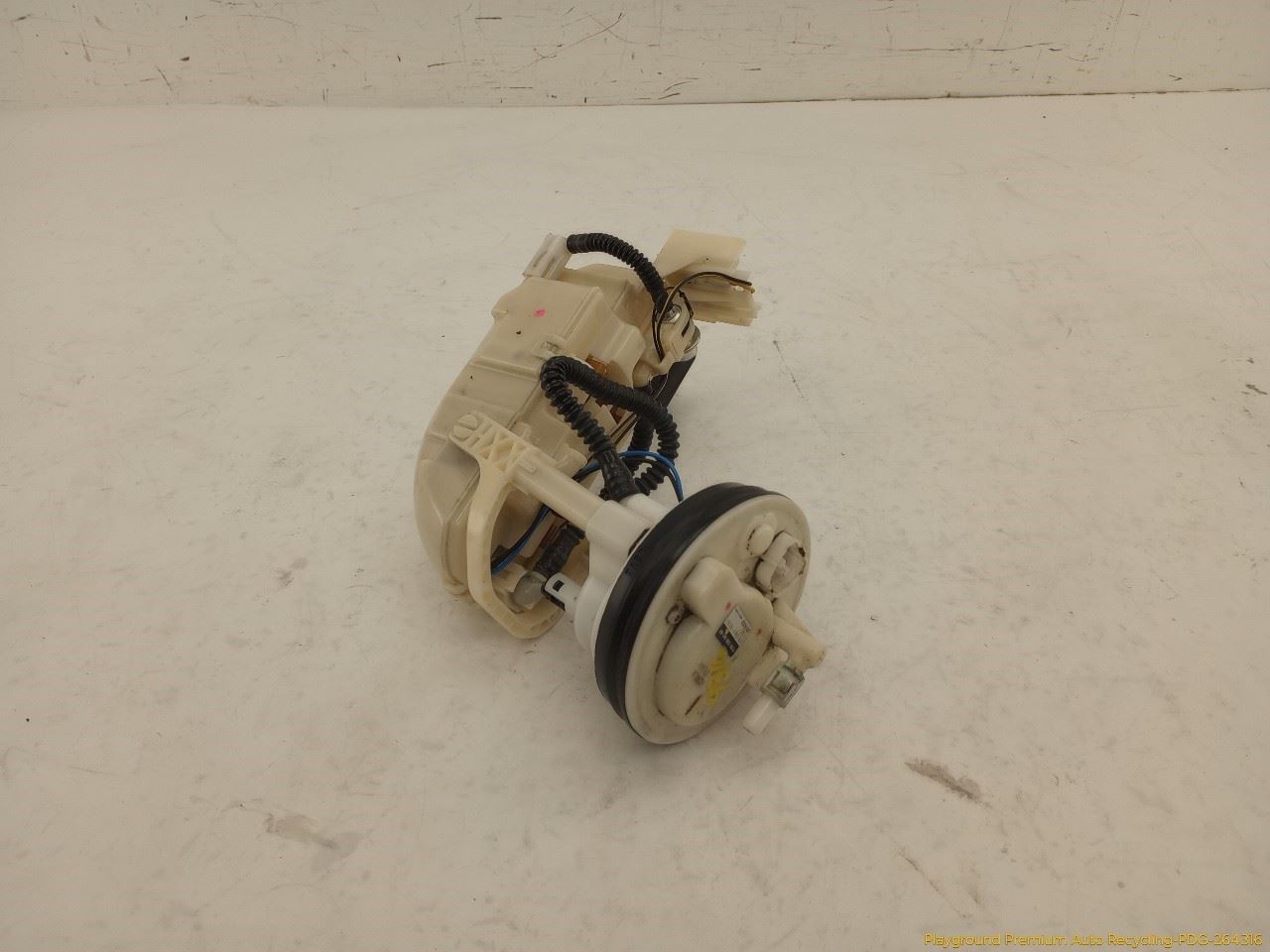 Photo 10