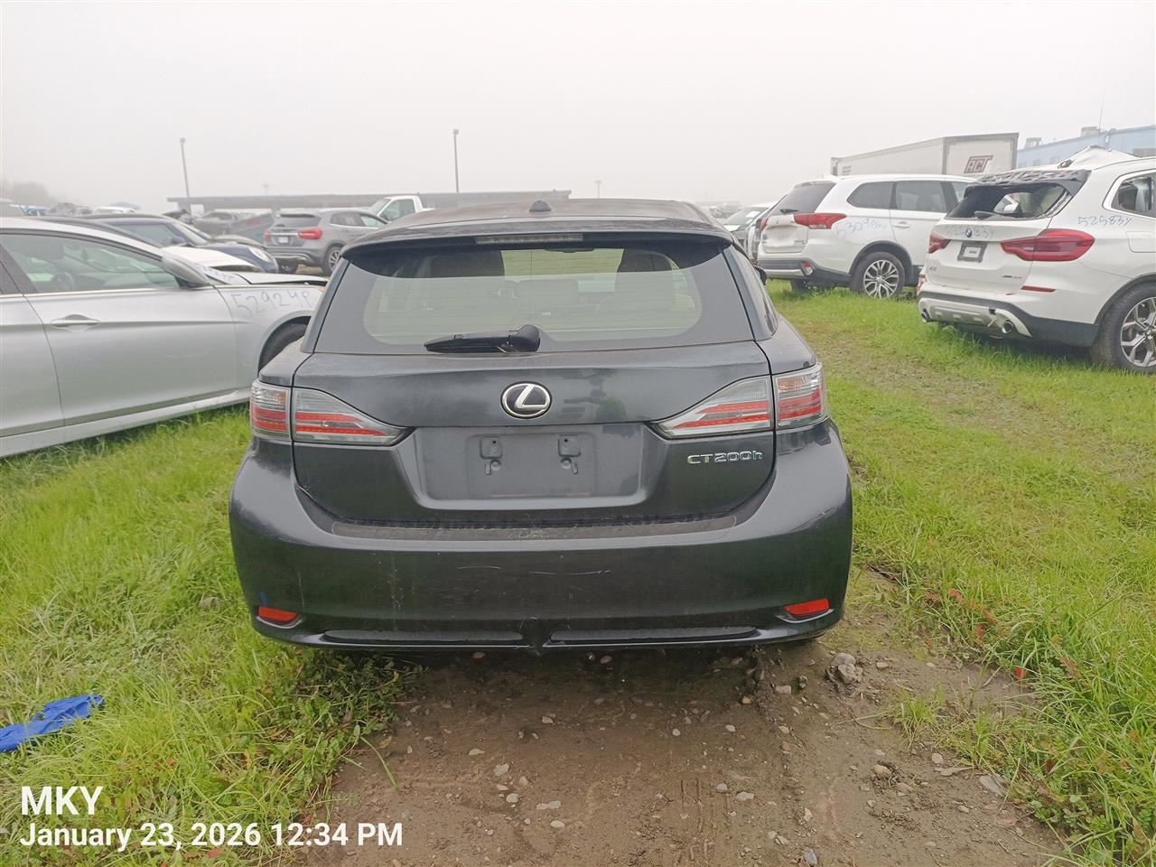 DASH WIRE HARNESS OEM 2011 LEXUS CT200H 8214176250 - Image 1