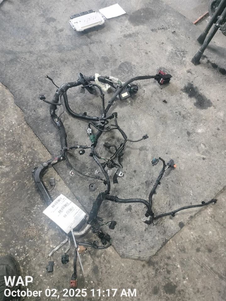 Benzeen WIRE HARNESS 2017 SMART SMARTFOR2 - Image 1