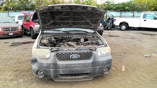 2006 FORD Escape