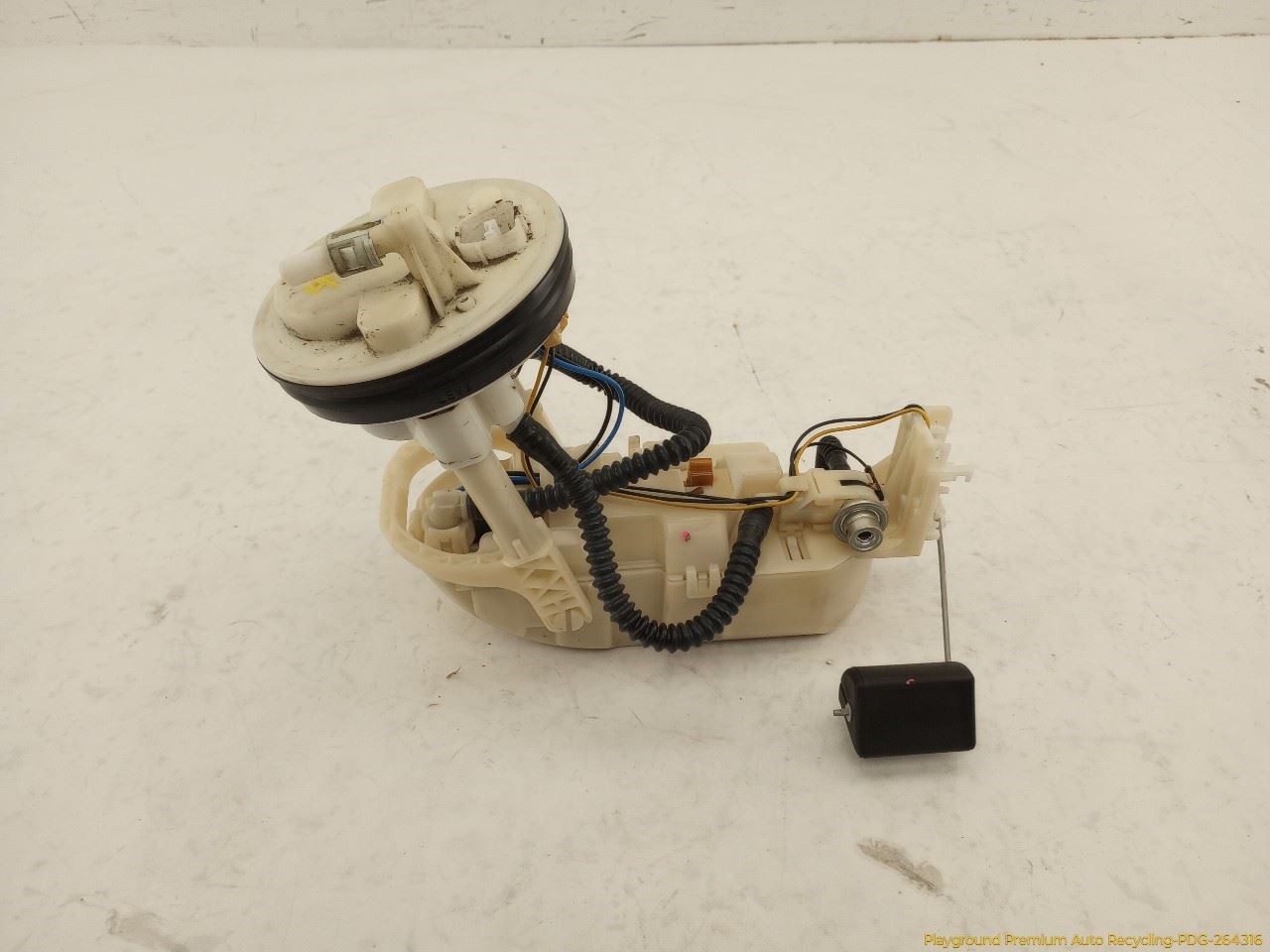 Photo 6