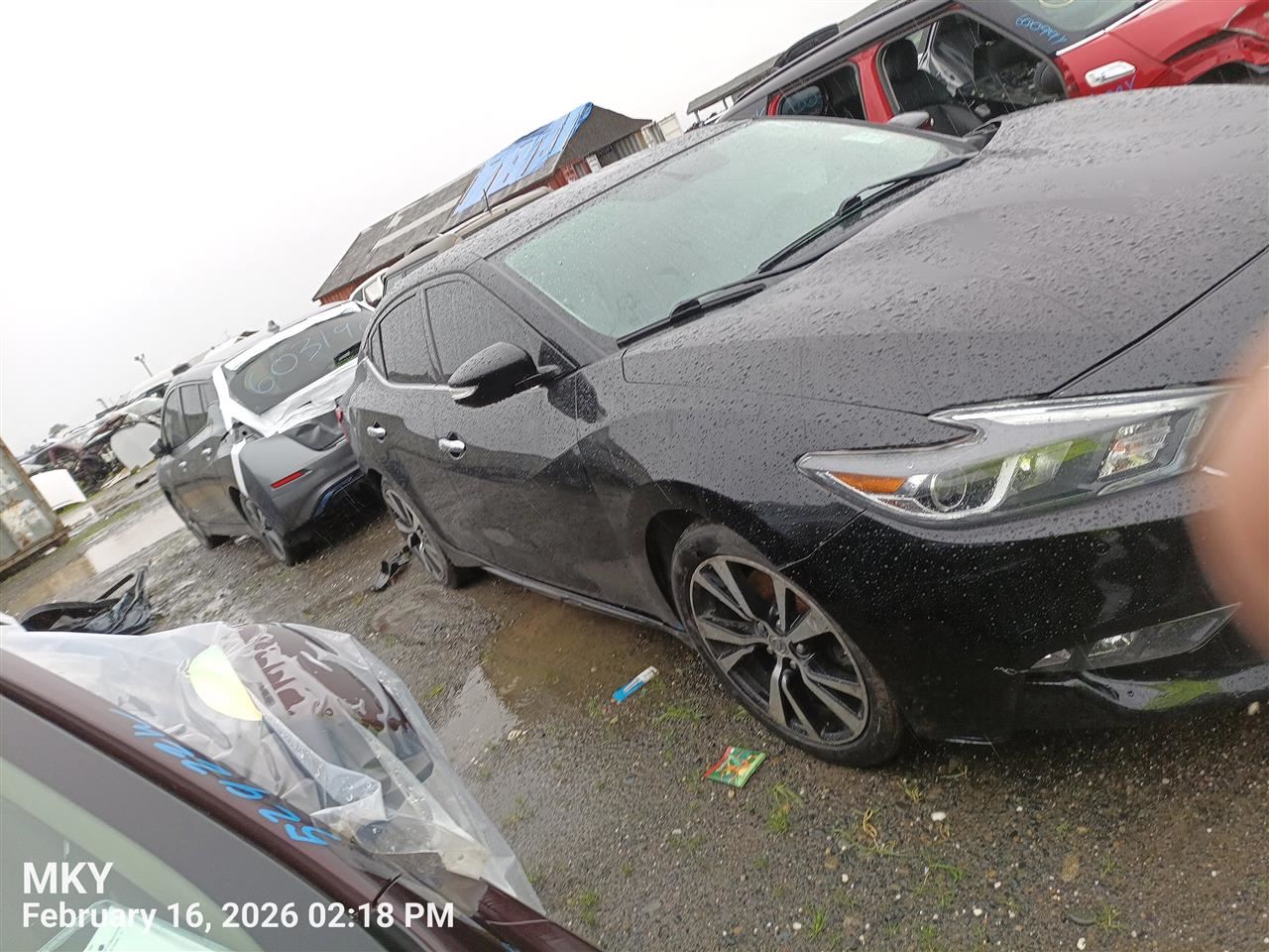 LEFT BLK FRONT HEADREST OEM 2017 NISSAN MAXIMA 864004RB0A - Image 4